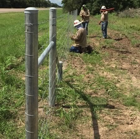 barb wire fence construction