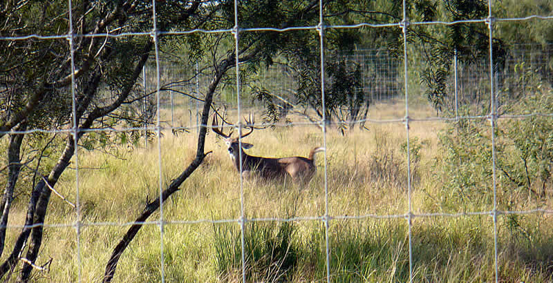 deer fence contractor
